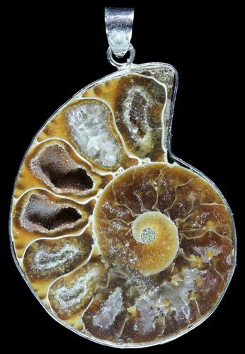 Fossil Ammonite Pendant - Million Years Old #89814